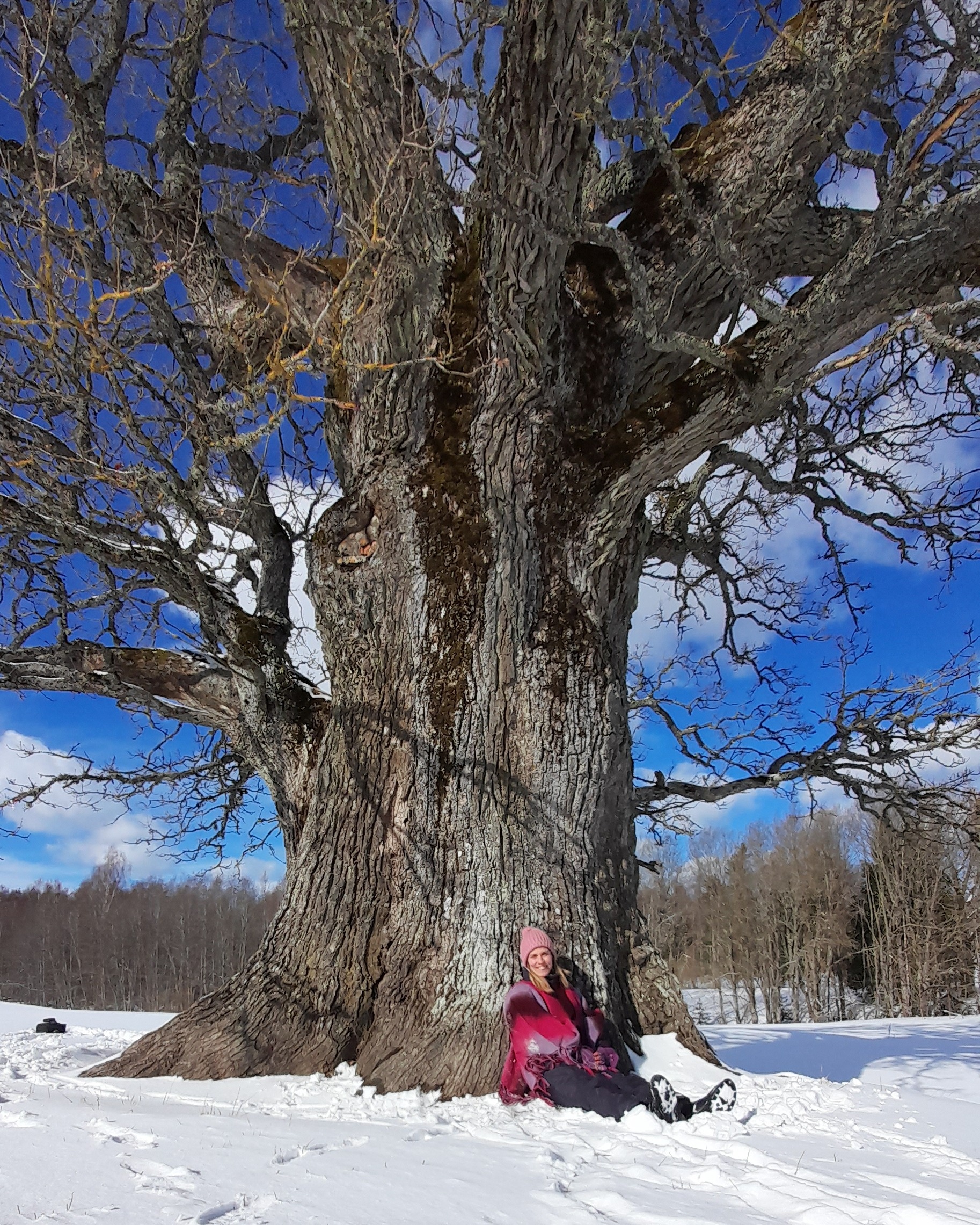 Trees as dream symbols